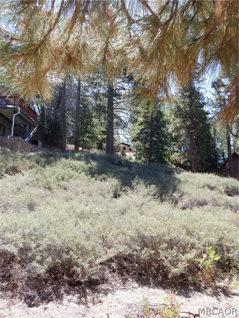 0 Wild Rose Drive Wild Rose Property Photo 5