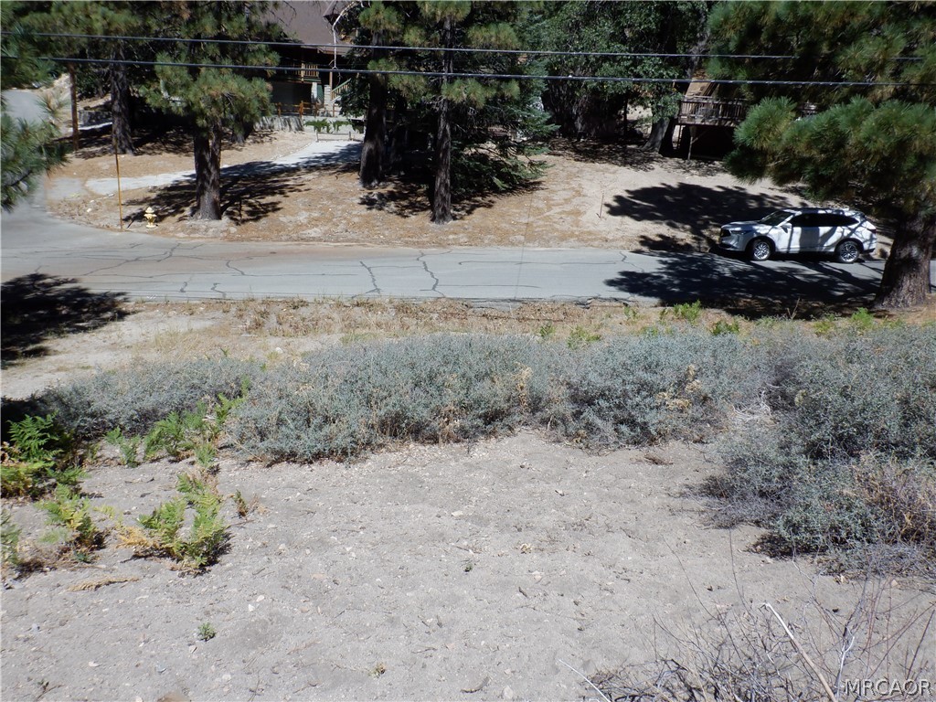 0 Wild Rose Drive Wild Rose Property Photo 7