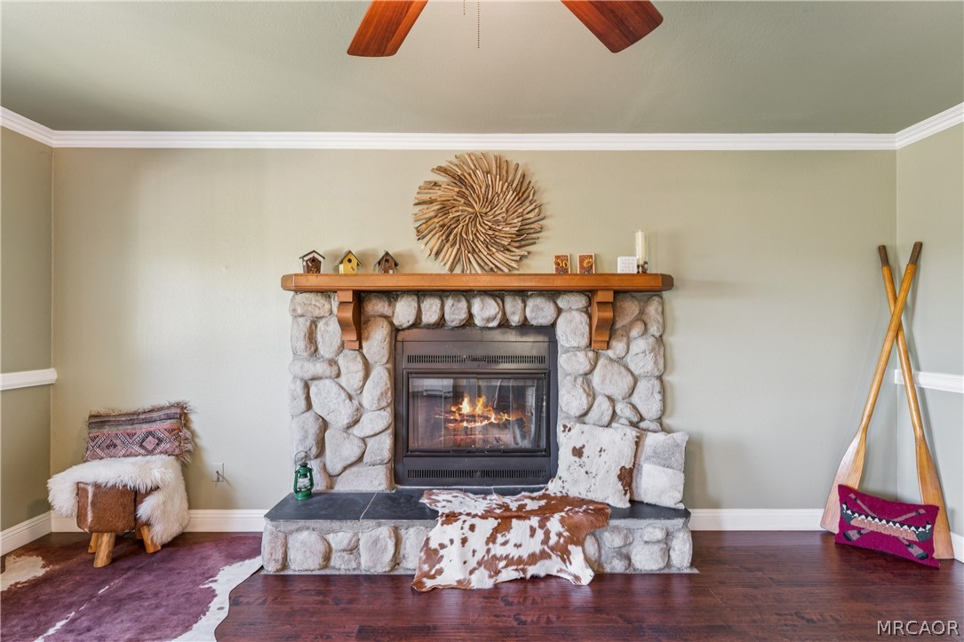 24798 Edelweiss Drive Property Photo 4