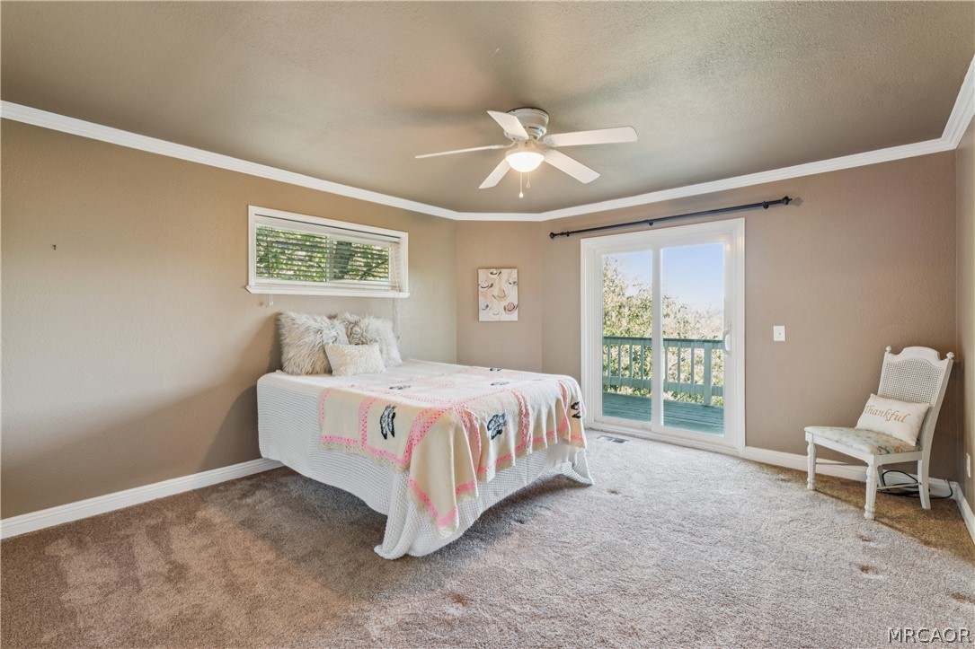 24798 Edelweiss Drive Property Photo 14