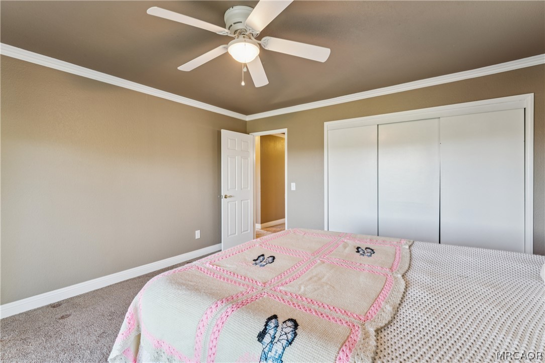 24798 Edelweiss Drive Property Photo 22