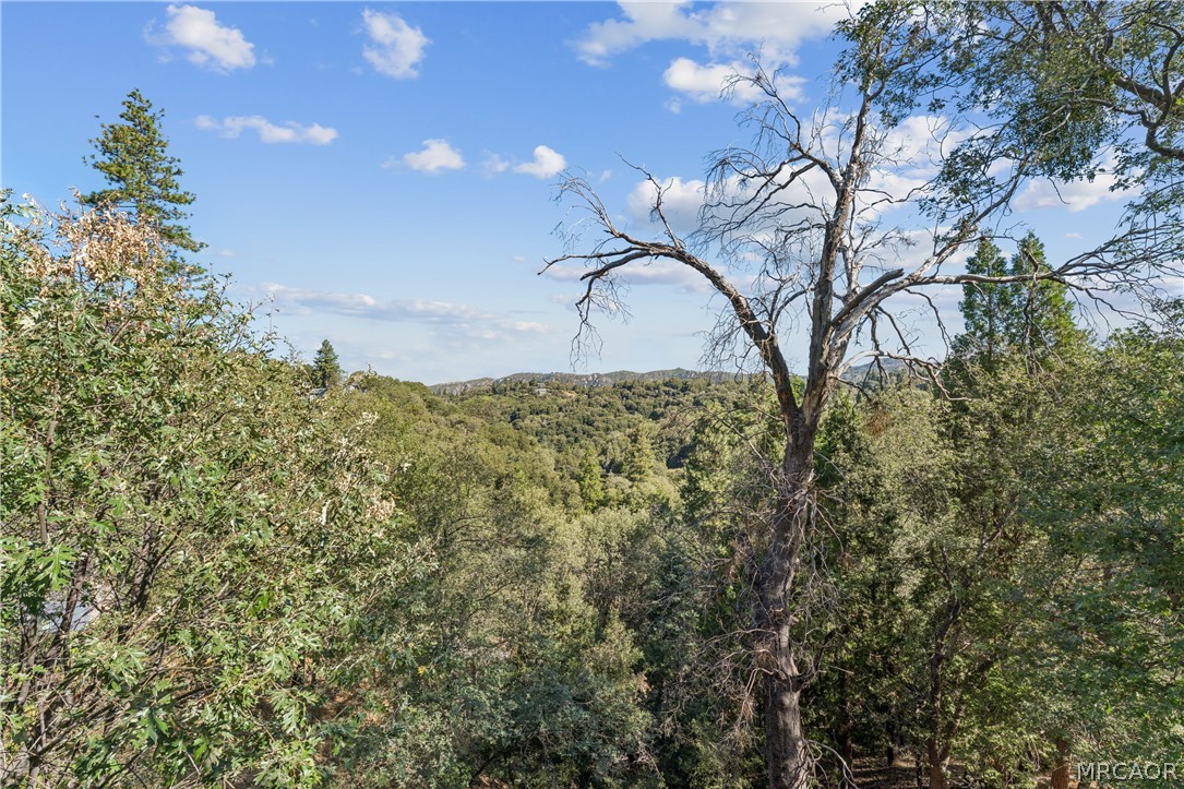 24798 Edelweiss Drive Property Photo 26