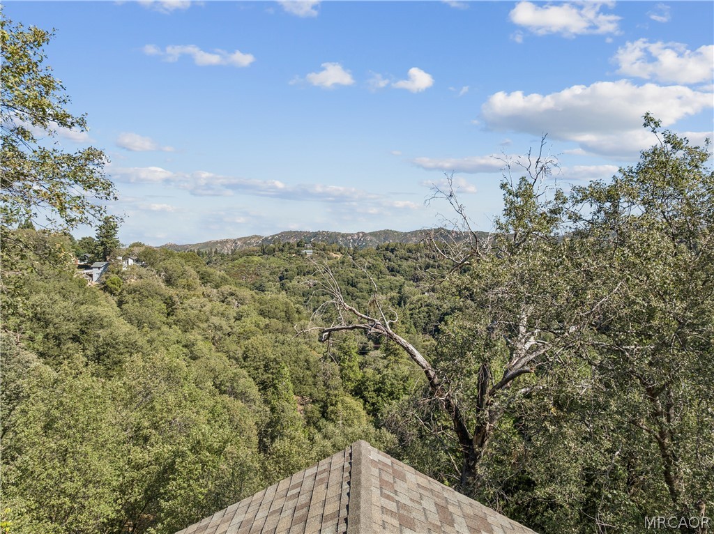 24798 Edelweiss Drive Property Photo 31