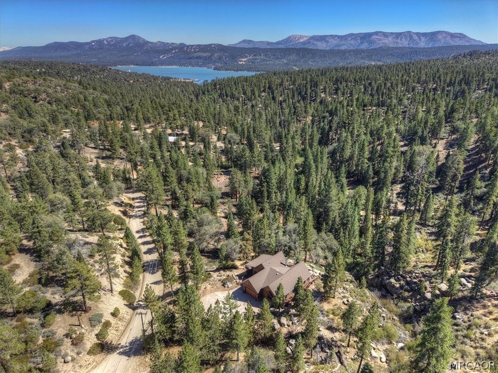 32311 Rim Of The World Drive Property Photo 2