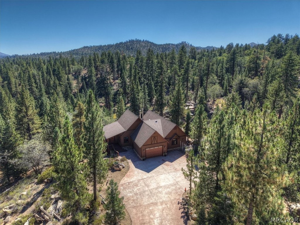 32311 Rim Of The World Drive Property Photo 14