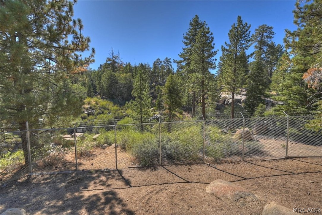 32311 Rim Of The World Drive Property Photo 49
