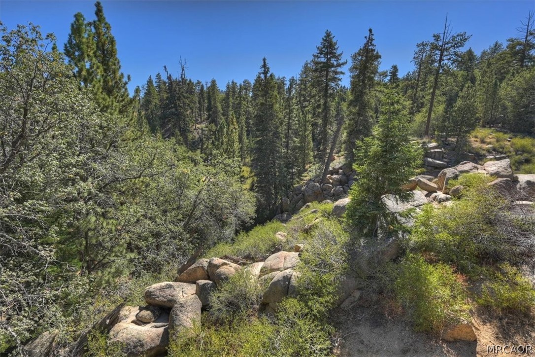 32311 Rim Of The World Drive Property Photo 53