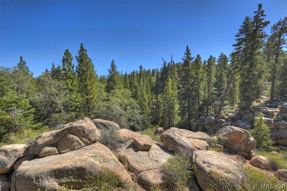 32311 Rim Of The World Drive Property Photo 54