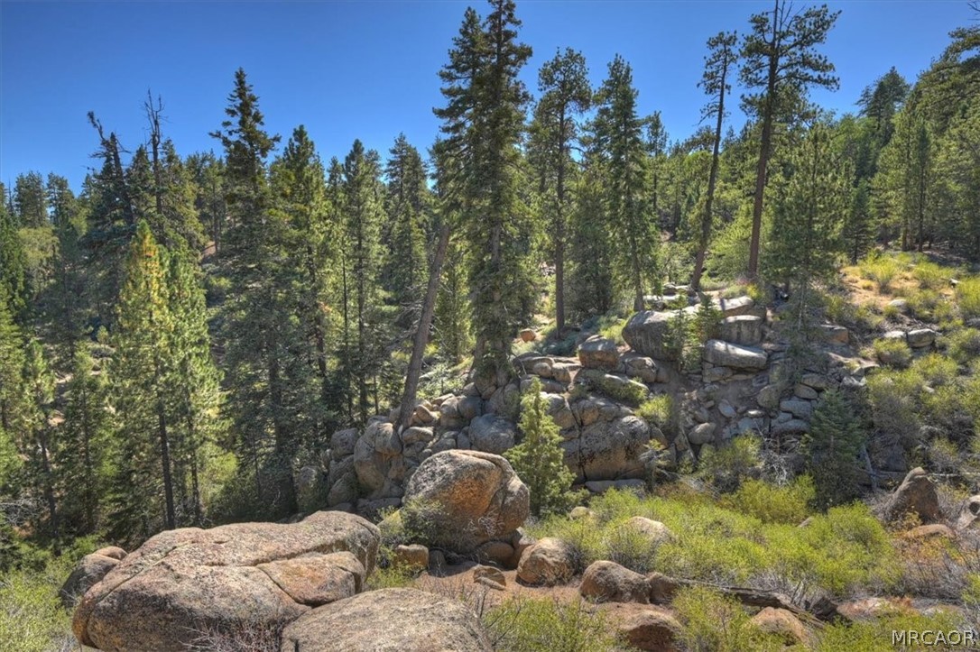 32311 Rim Of The World Drive Property Photo 55