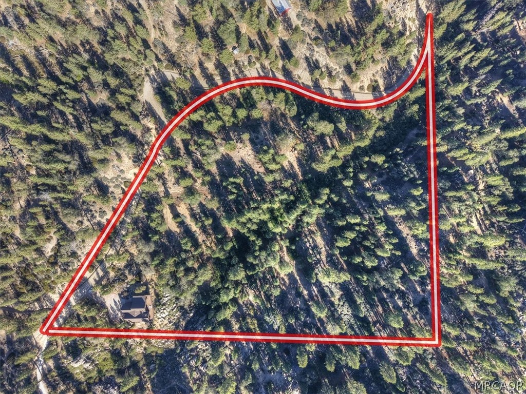 32311 Rim Of The World Drive Property Photo 57