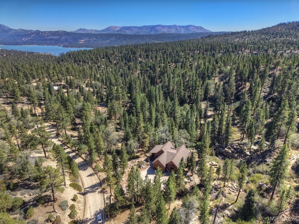 32311 Rim Of The World Drive Property Photo 58