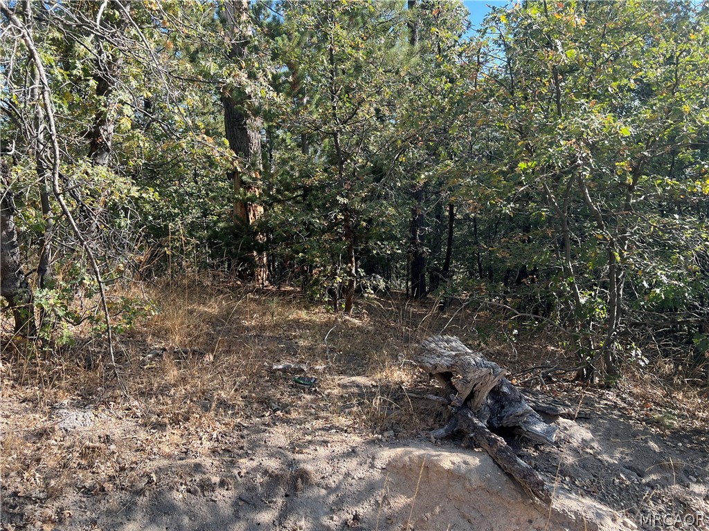 0 Lone Pine Property Photo 2