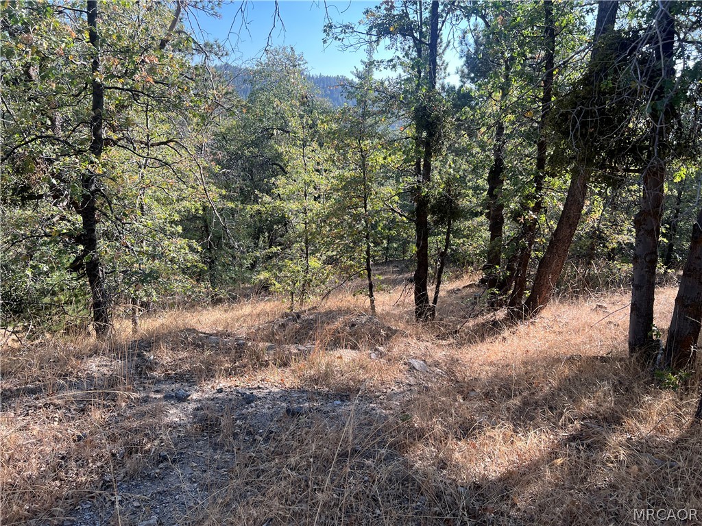 0 Lone Pine Property Photo 4