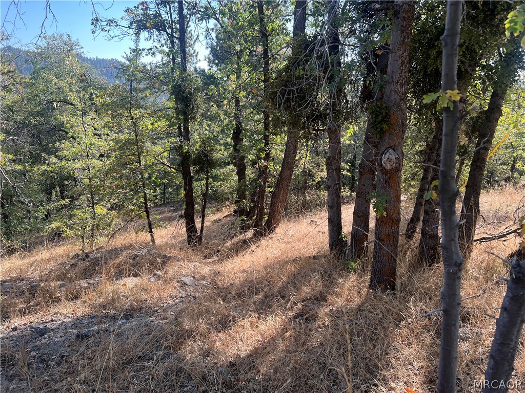 0 Lone Pine Property Photo 5