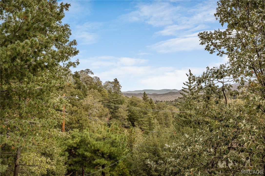 1284 Cortina Drive Property Photo 2