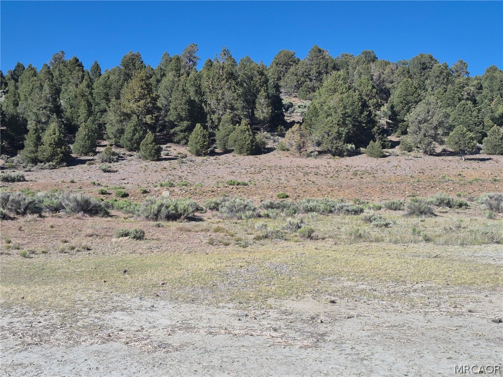 2787 Erwin Ranch Road Property Photo 25