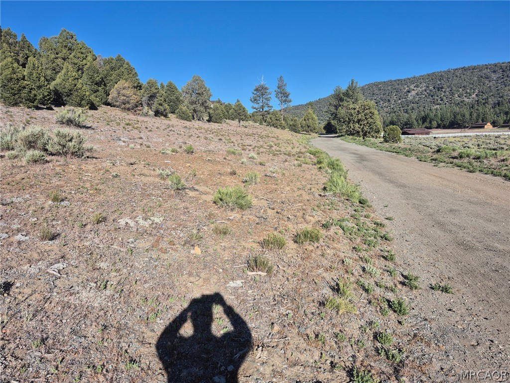 2787 Erwin Ranch Road Property Photo 26