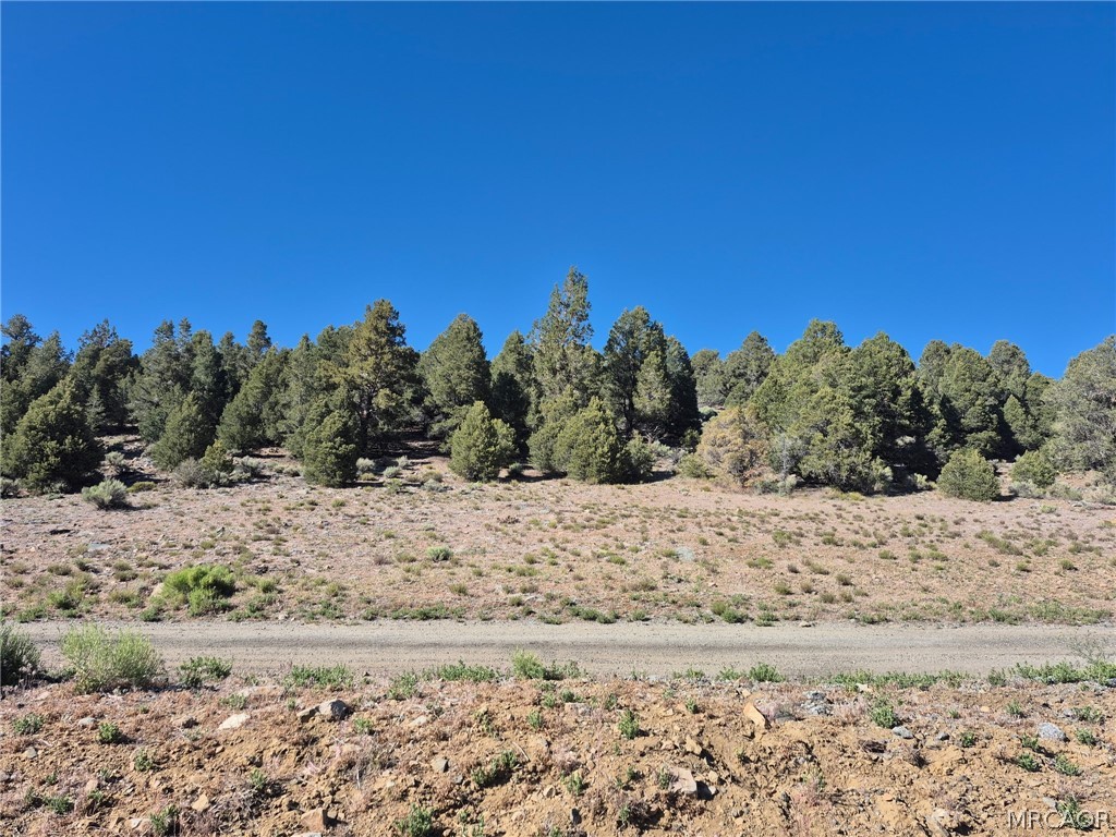 2787 Erwin Ranch Road Property Photo 27