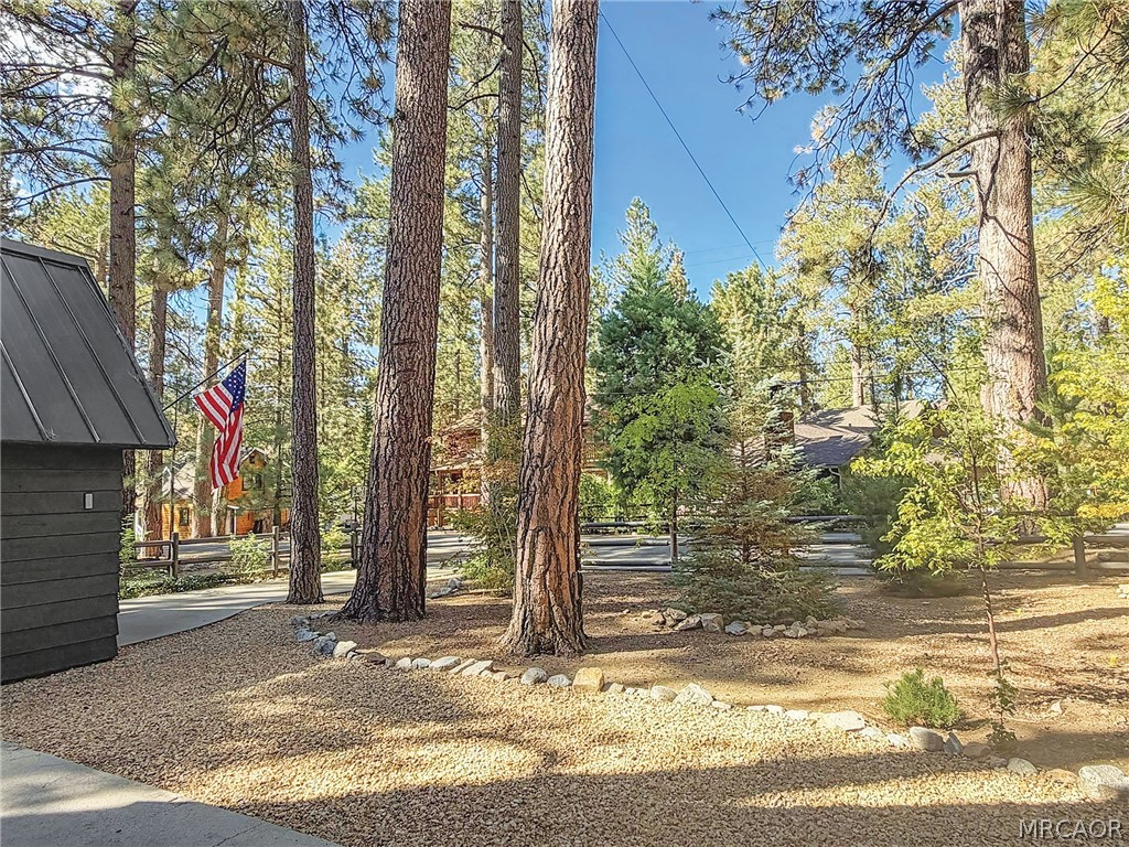 39207 Robin Road Property Photo 39