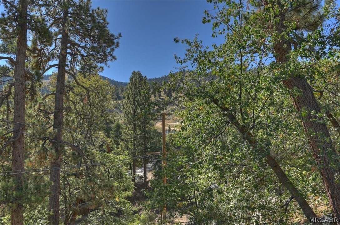 1290 Pigeon Road Property Photo 19