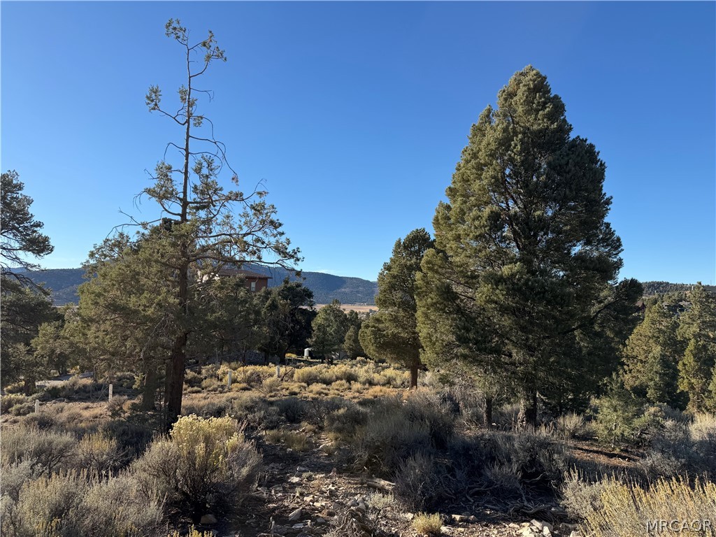 46280 Boron Lane Property Photo 7
