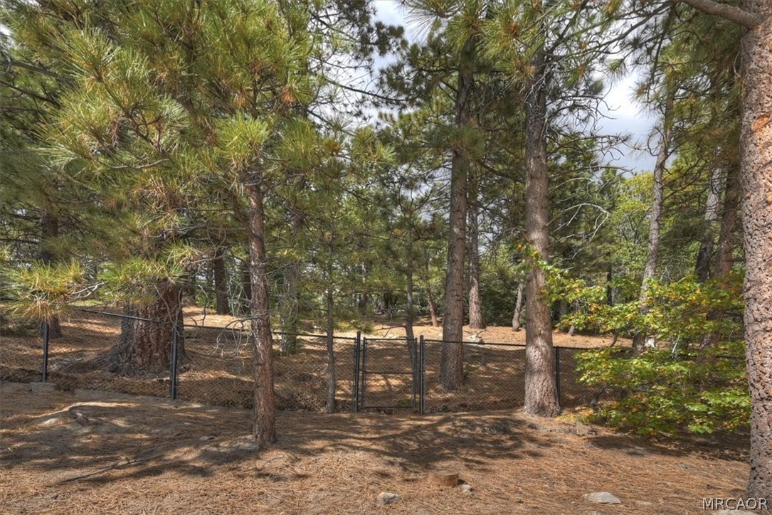 38692 North Shore Property Photo 37