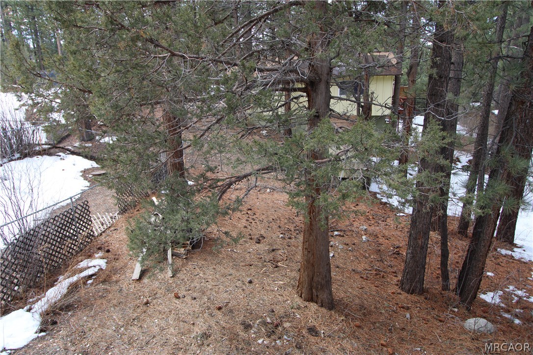 323 Hilltop Lane Property Photo 21