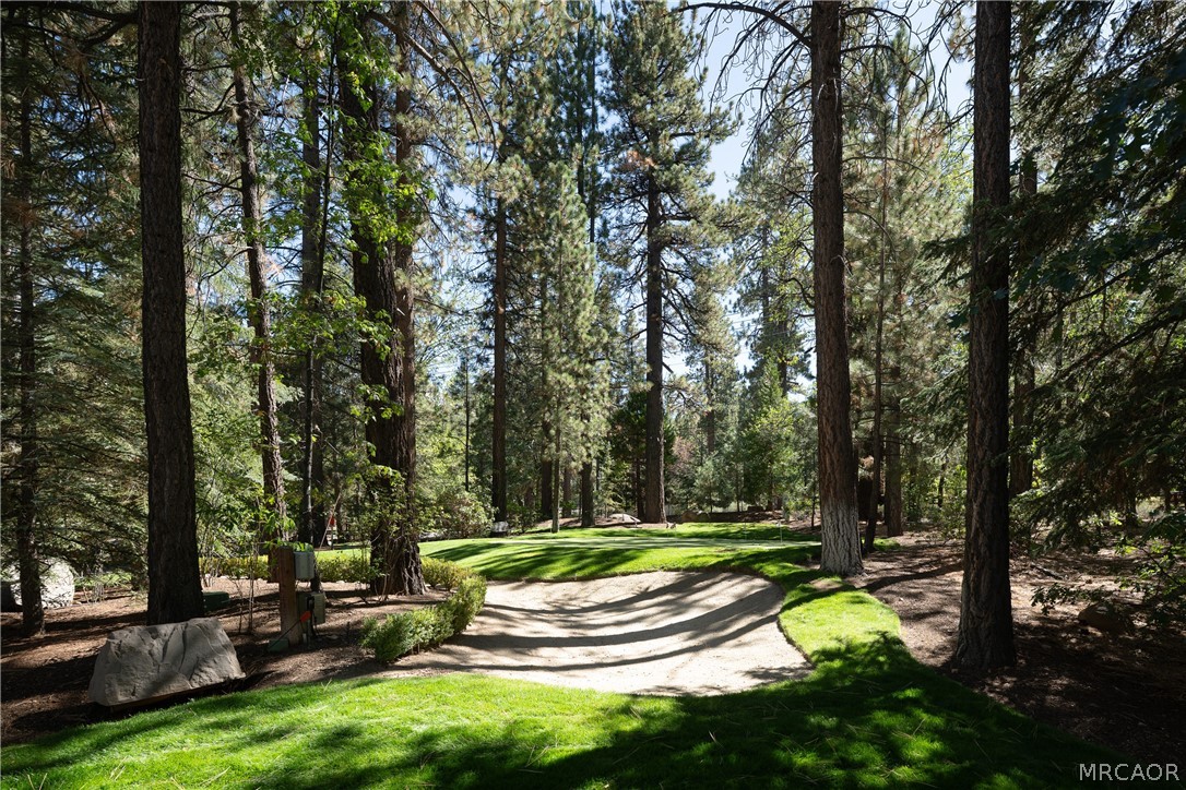 42388 Switzerland Drive Property Photo 47