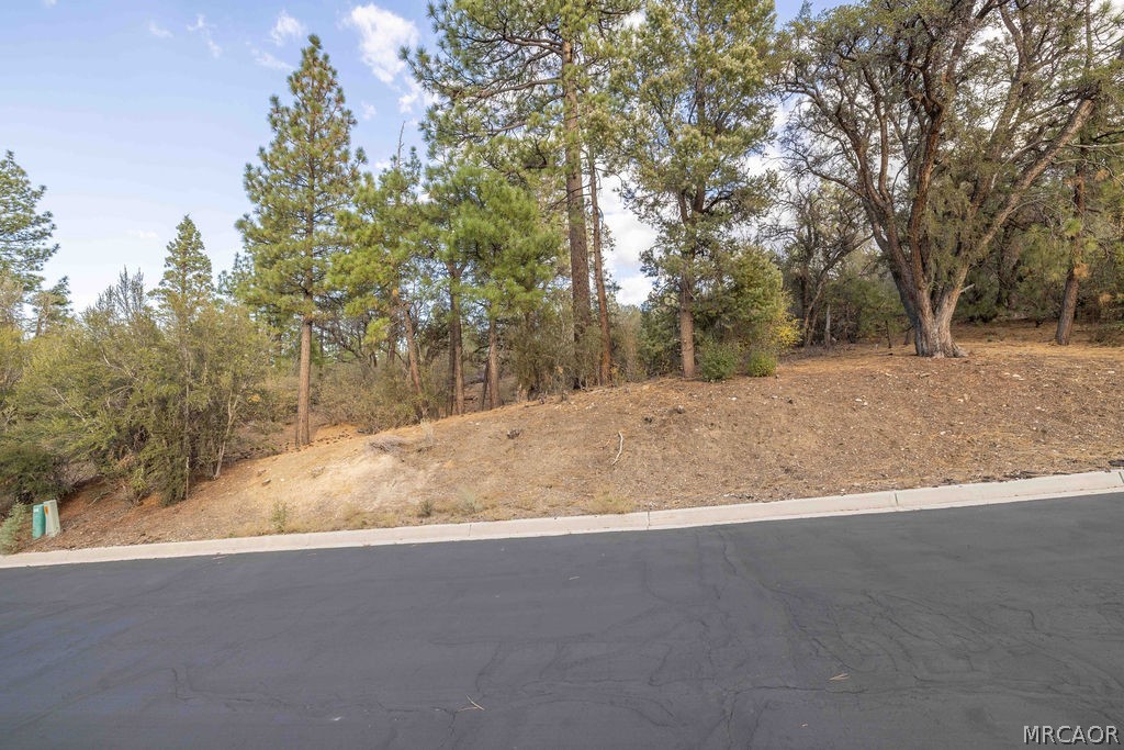432 Woodcreek Drive Property Photo 1