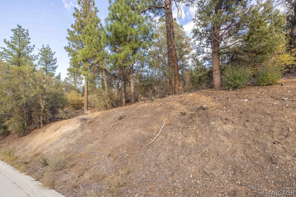 432 Woodcreek Drive Property Photo 3
