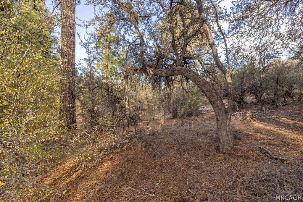 432 Woodcreek Drive Property Photo 4