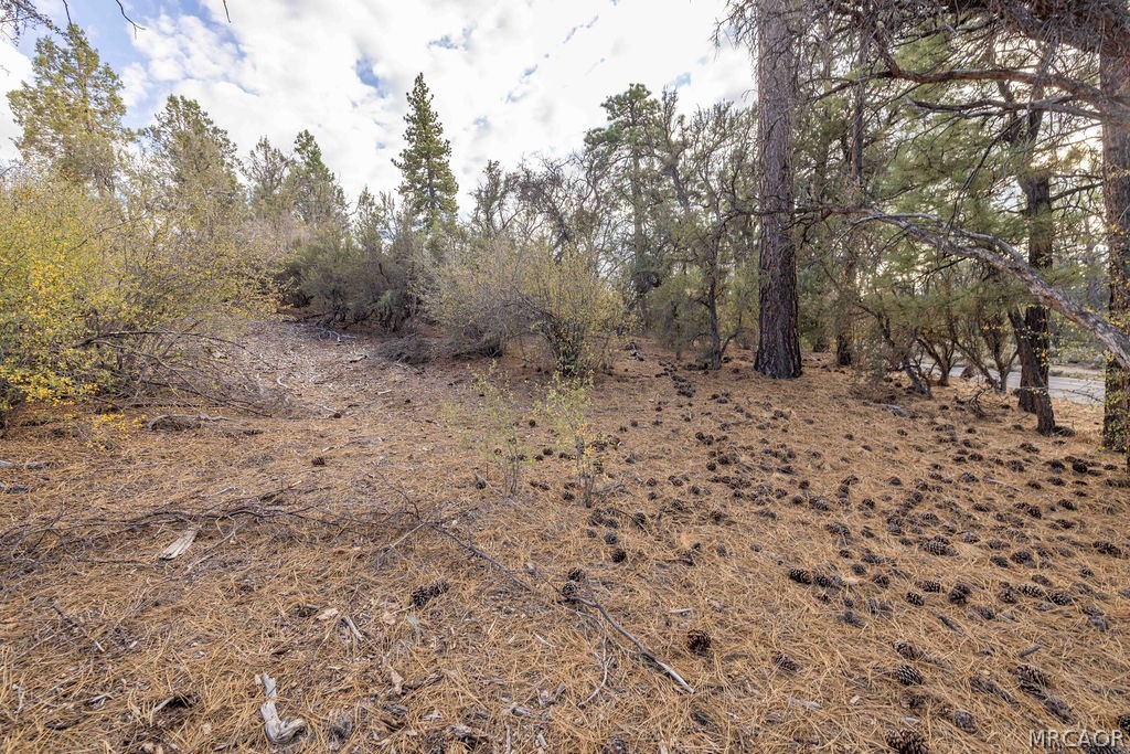 432 Woodcreek Drive Property Photo 10