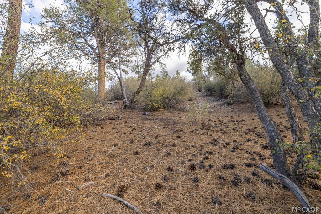 432 Woodcreek Drive Property Photo 11