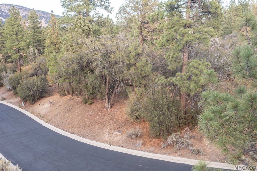 432 Woodcreek Drive Property Photo 14
