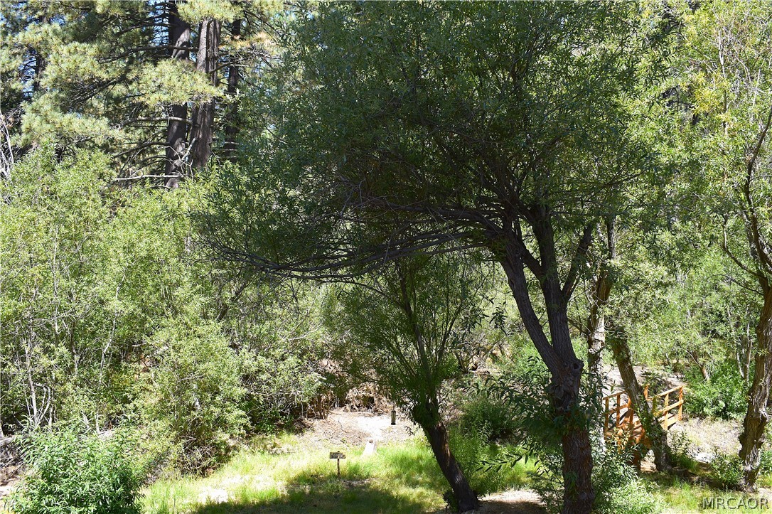 33758 Meadow Lane Property Photo 26