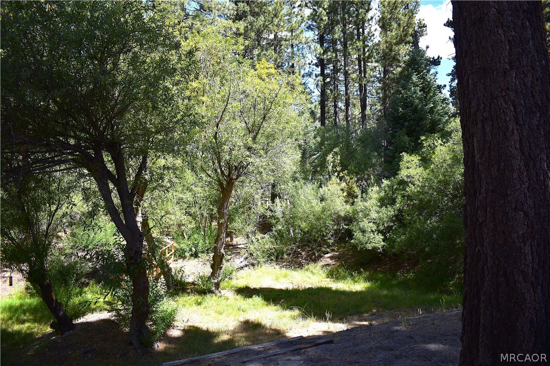 33758 Meadow Lane Property Photo 27