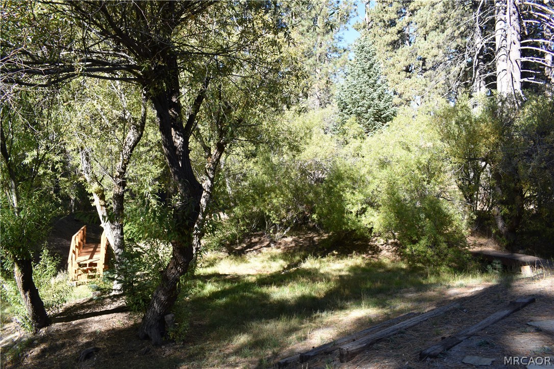 33758 Meadow Lane Property Photo 29