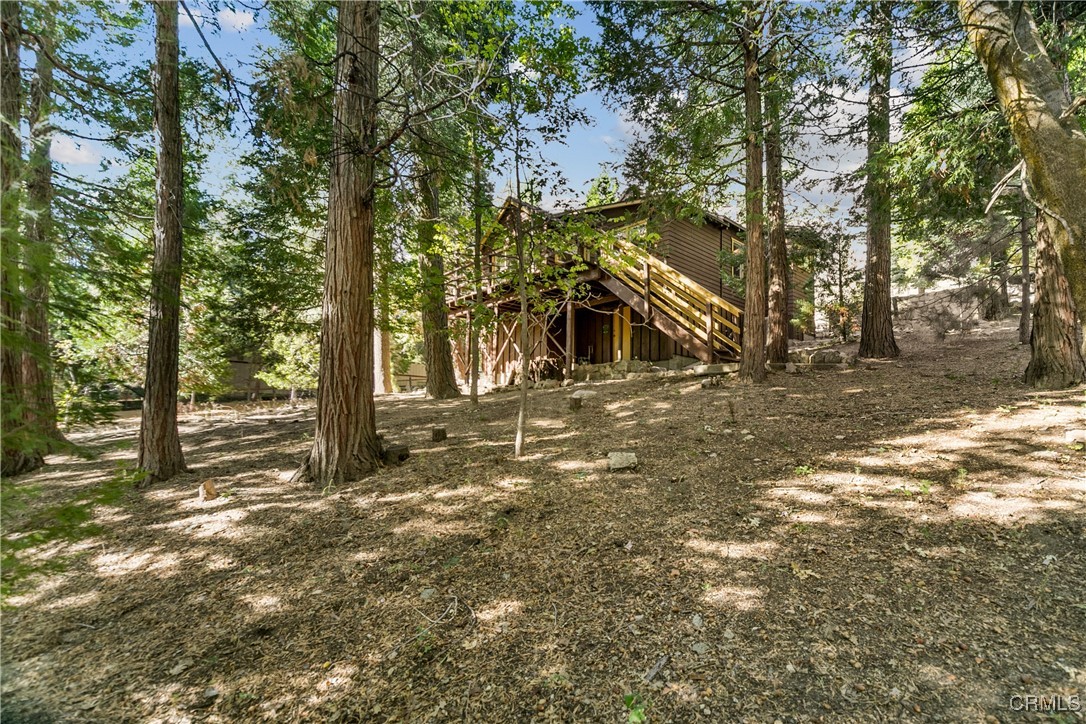 26481 Alpine Lane Property Photo 25