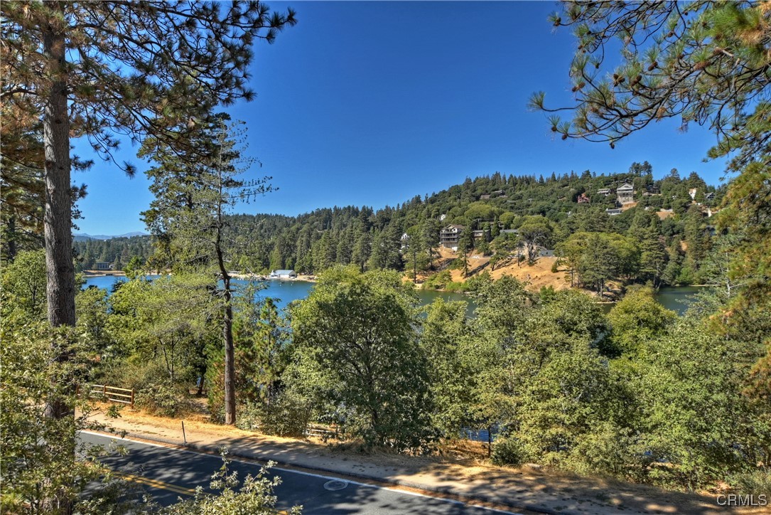 24531 San Moritz Drive Property Photo 41