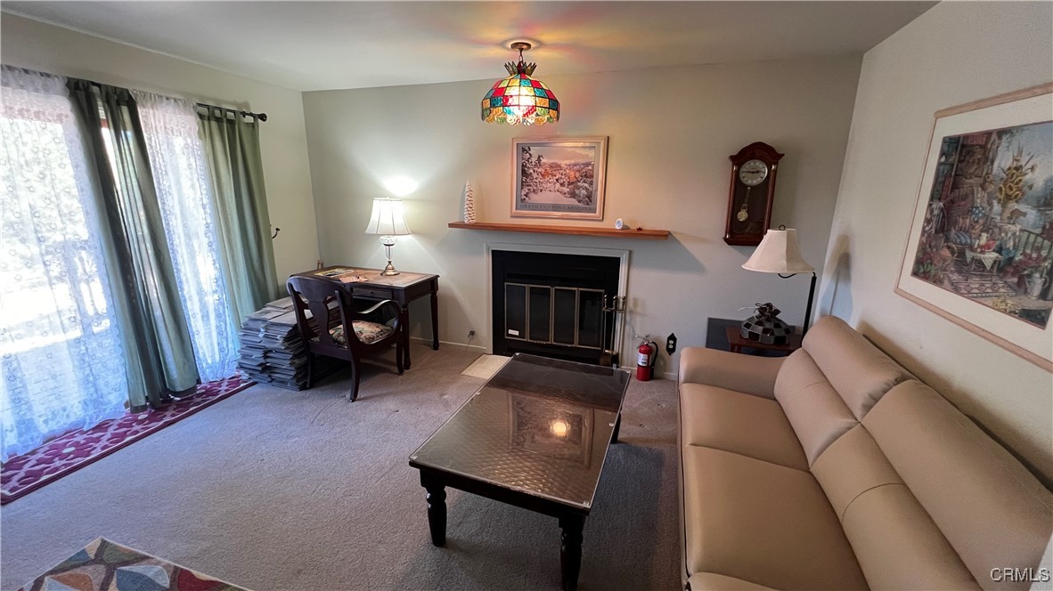 33393 Robin Drive Property Photo 22