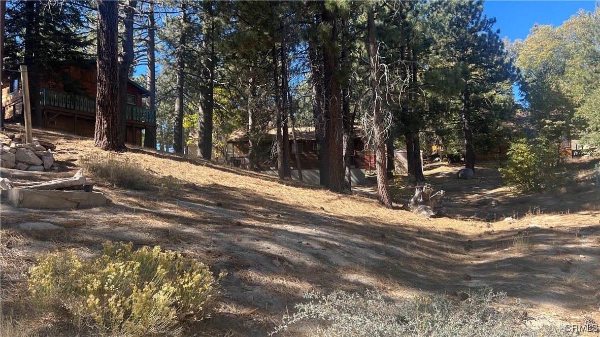 33275 Iris Dr Property Photo 6