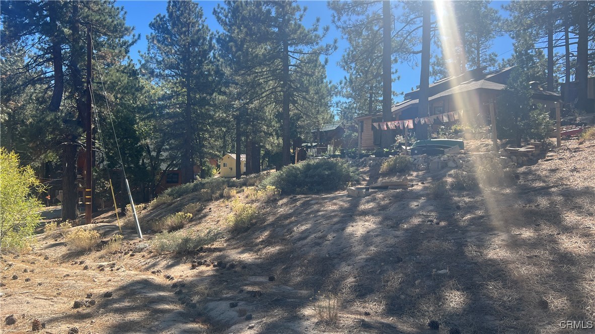 33275 Iris Dr Property Photo 12