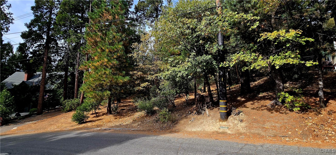 308 Pioneer Road Property Photo 1