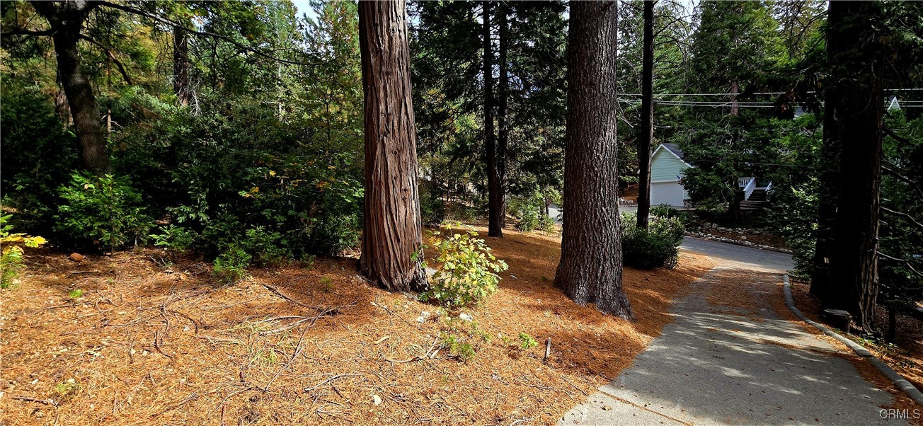 308 Pioneer Road Property Photo 3