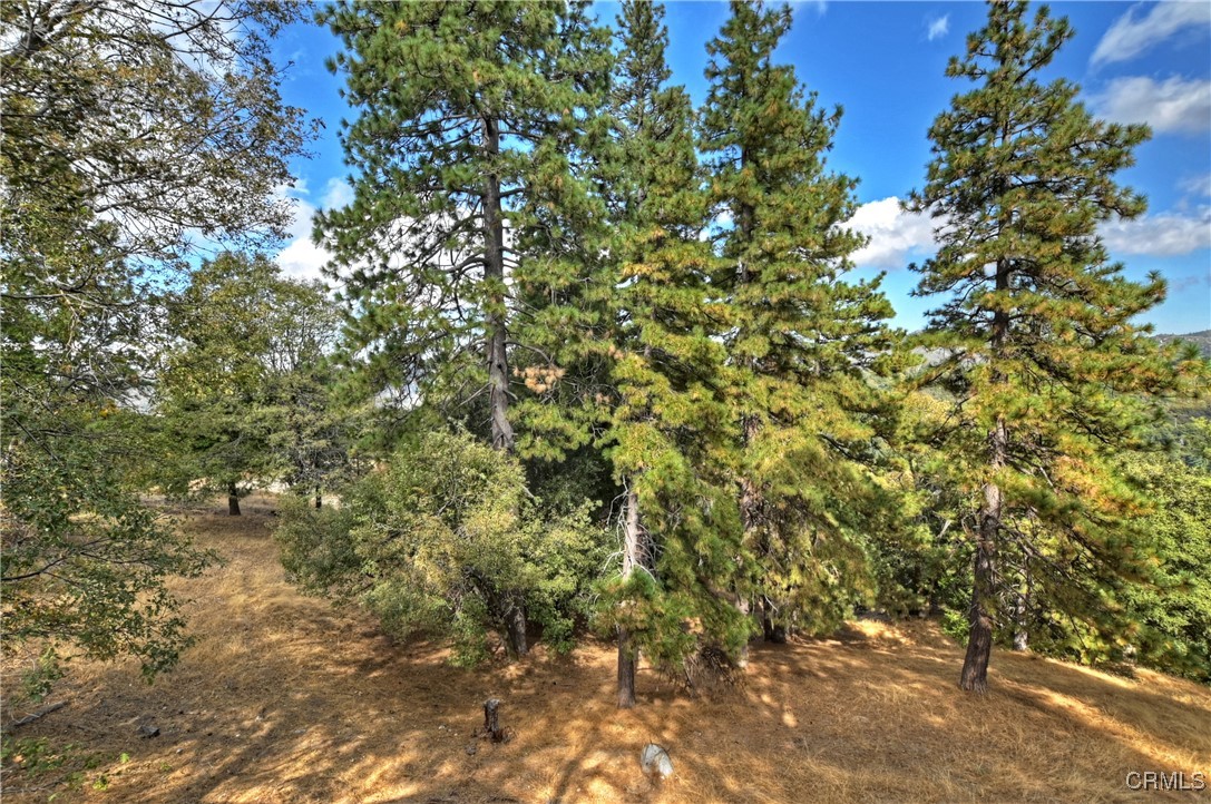 152 Weisshorn Drive Property Photo 34