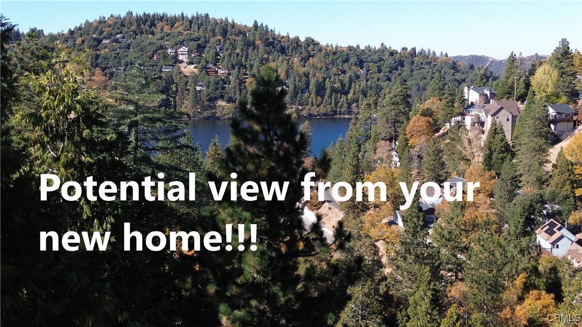 800 Arbula Drive Property Photo 4