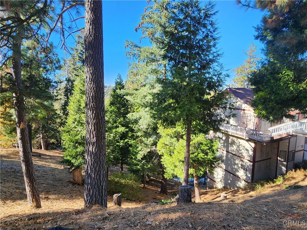 800 Arbula Drive Property Photo 15