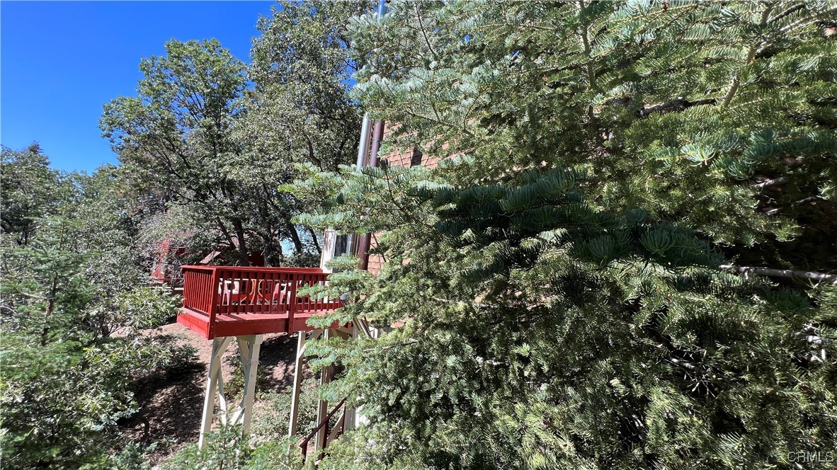 33474 Angeles Drive Property Photo 42