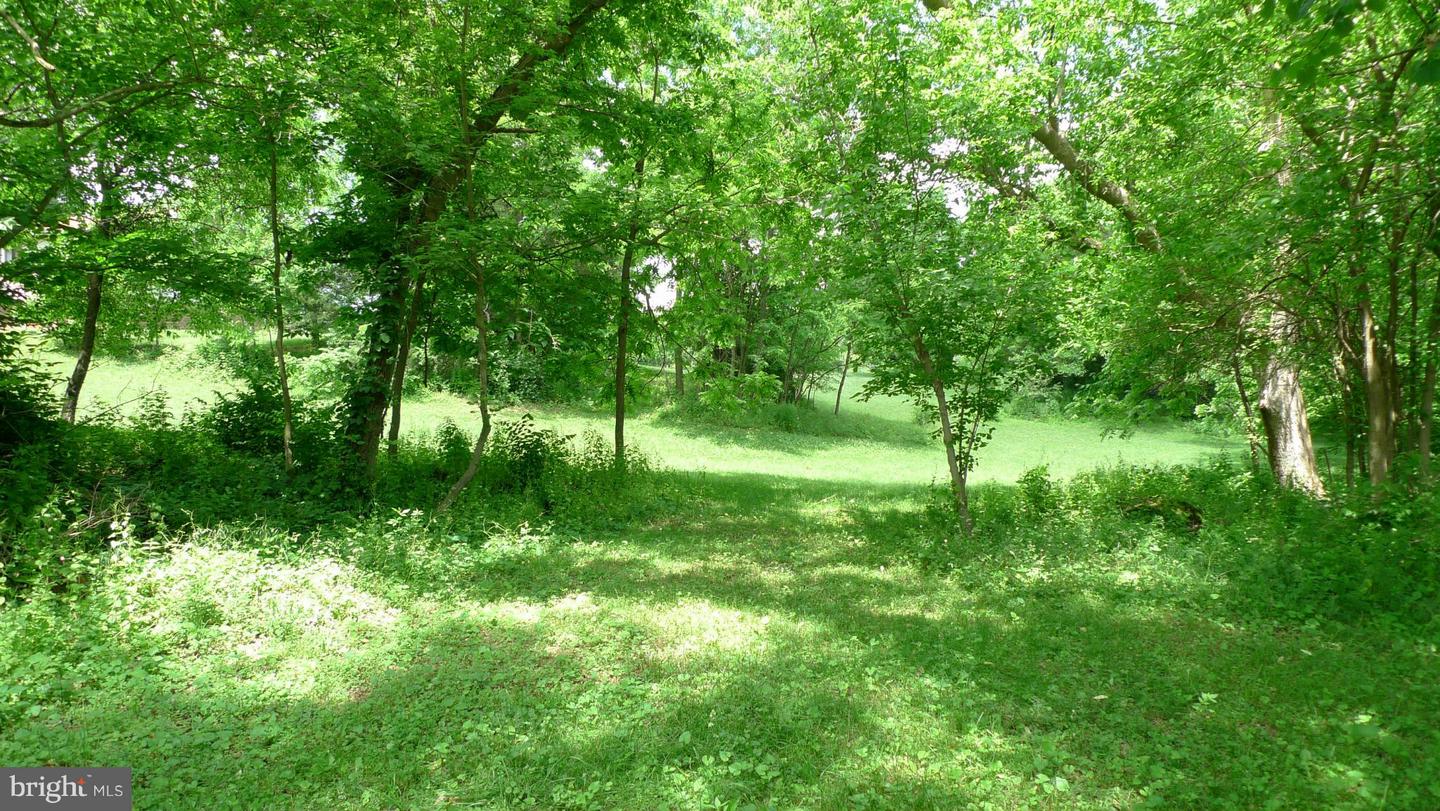 11302 Robinwood Dr Property Photo 20