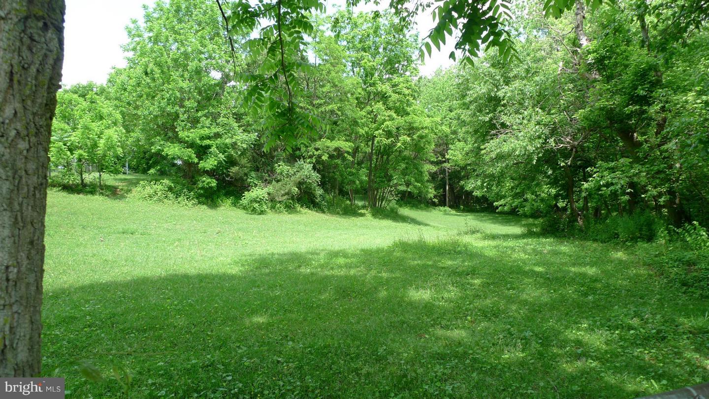 11302 Robinwood Dr Property Photo 21